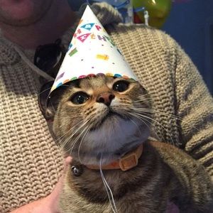 Meet your Posher, Lin